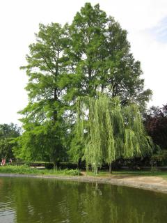 IMG_7479.JPG