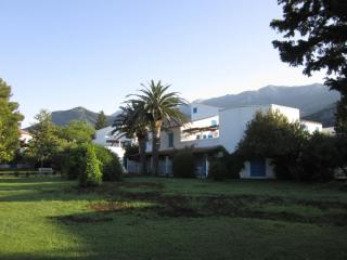 IMG_6479.JPG