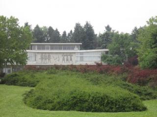 IMG_7037.JPG