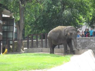 IMG_7153.JPG