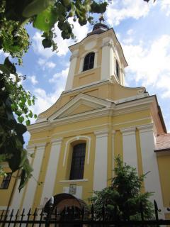 IMG_7382.JPG