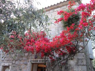 IMG_6836.JPG