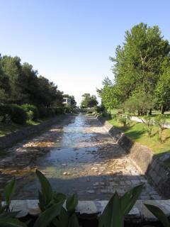 IMG_6493.JPG