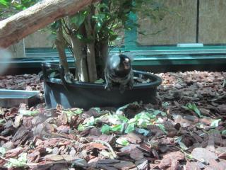 IMG_5712.JPG