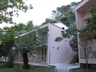 IMG_6251.JPG
