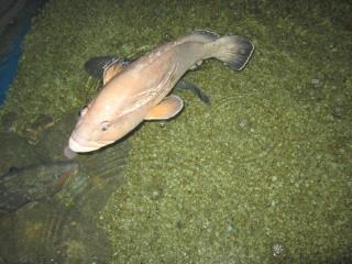 IMG_6430.JPG