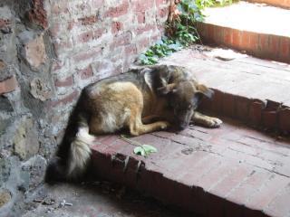 IMG_7407.JPG