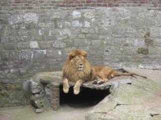 IMG_7119.JPG