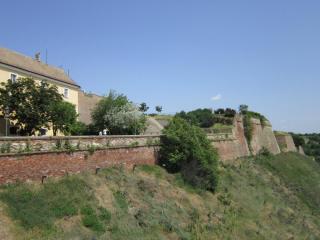 IMG_7419.JPG