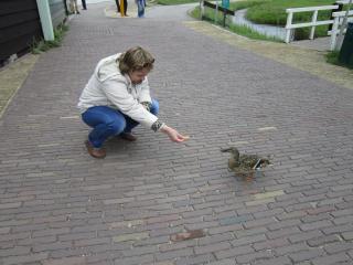 IMG_3012.JPG