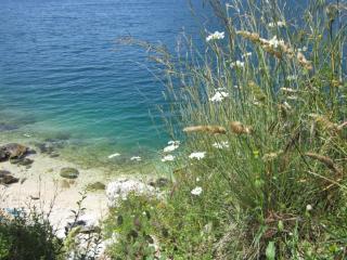 IMG_6579.JPG
