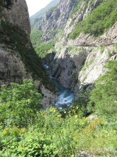 IMG_6906.JPG