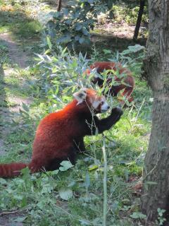 IMG_5584.JPG