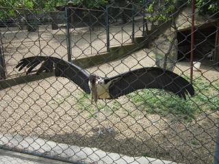 IMG_7162.JPG