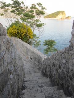 IMG_6848.JPG