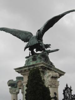 IMG_5506.JPG