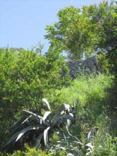 IMG_6576.JPG