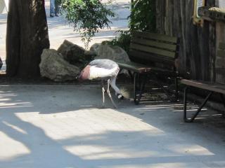 IMG_5568.JPG