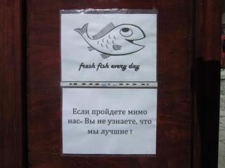 IMG_6566.JPG