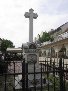 IMG_7020.JPG