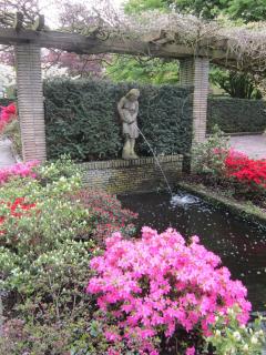 IMG_3155.JPG