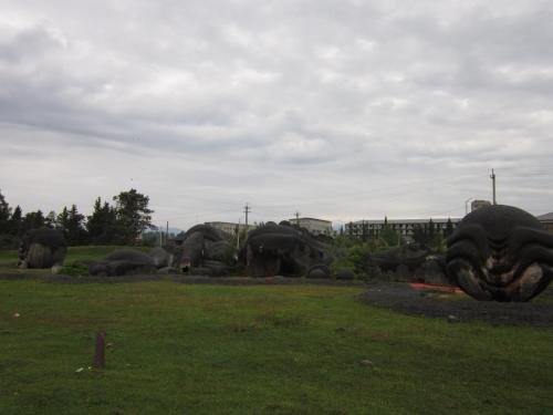 IMG_9829.JPG