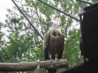 IMG_7143.JPG