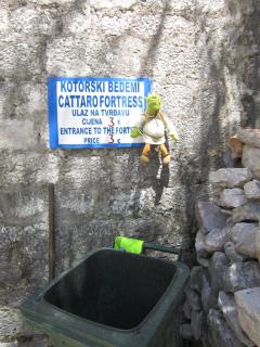 IMG_6613.JPG