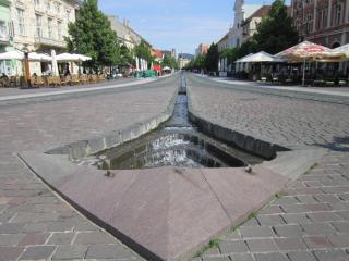 IMG_7777.JPG