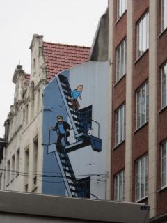 IMG_3560.JPG