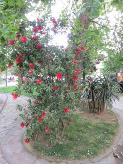 IMG_6834.JPG