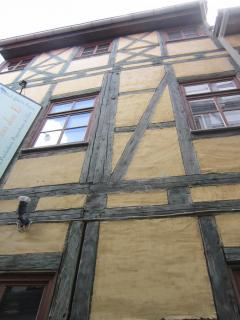 IMG_3974.JPG