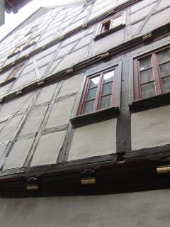 IMG_3976.JPG