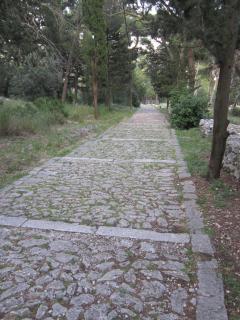 IMG_6238.JPG