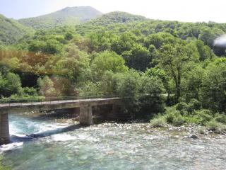 IMG_6935.JPG