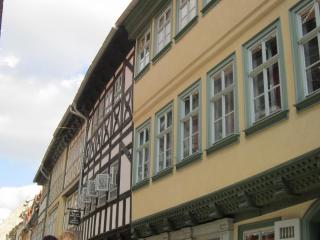 IMG_4008.JPG