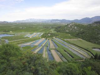 IMG_6273.JPG