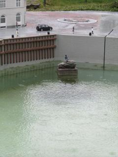 IMG_3610.JPG
