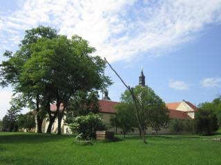 IMG_7314.JPG