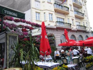 IMG_7286.JPG