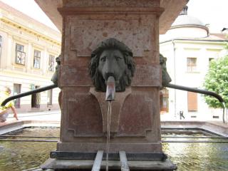 IMG_7365.JPG