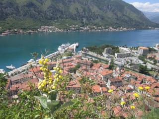 IMG_6626.JPG