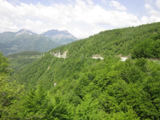 IMG_6927.JPG