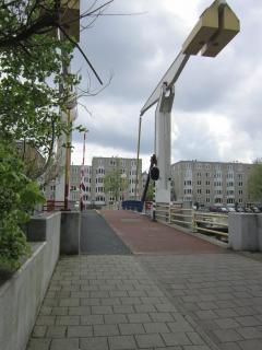 IMG_2807.JPG