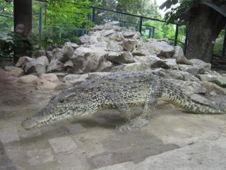 IMG_7112.JPG