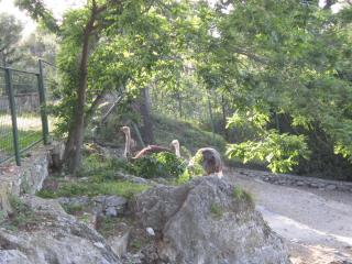 IMG_6211.JPG