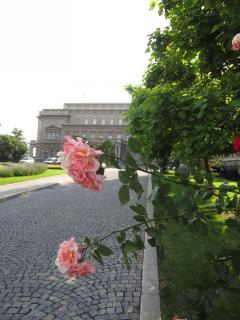 IMG_7242.JPG