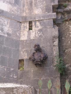 IMG_6568.JPG