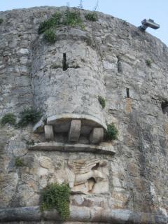 IMG_6835.JPG