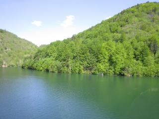 IMG_6964.JPG